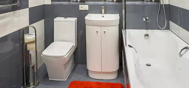 Hansgrohe Shaving Mirror Jeffersontown
