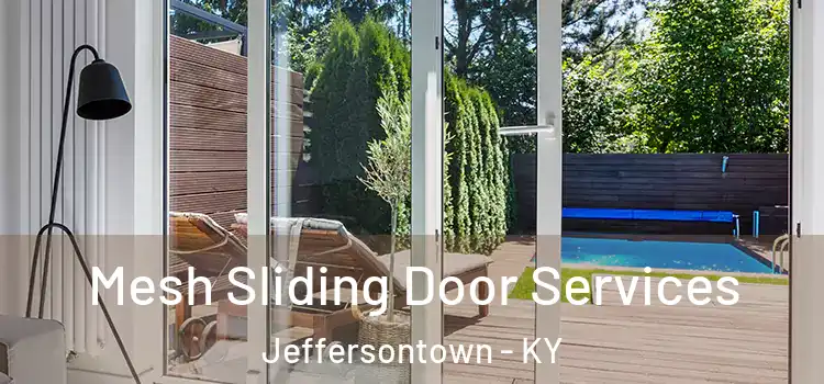 Mesh Sliding Door Services Jeffersontown - KY